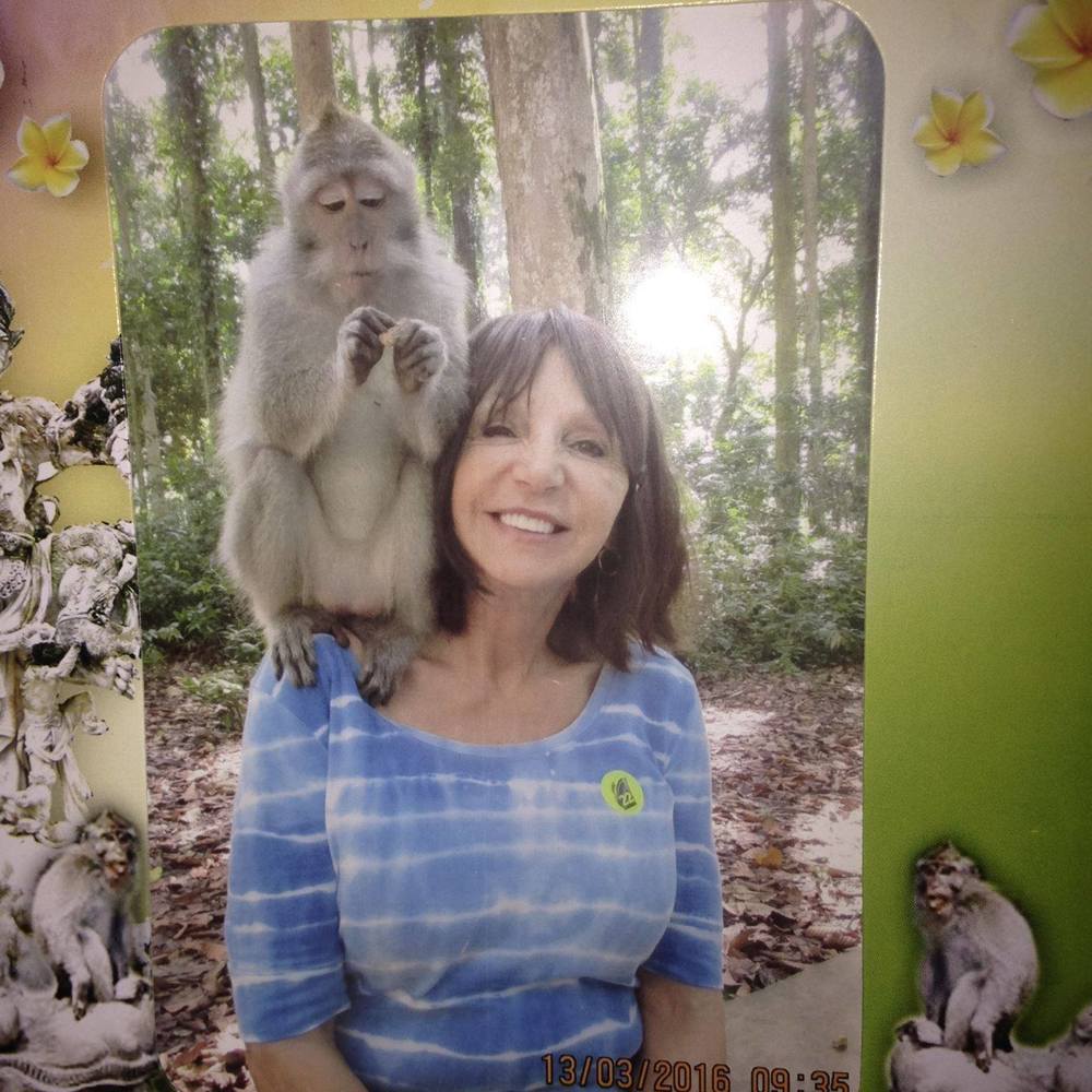 Meet your Posher, Bobbie